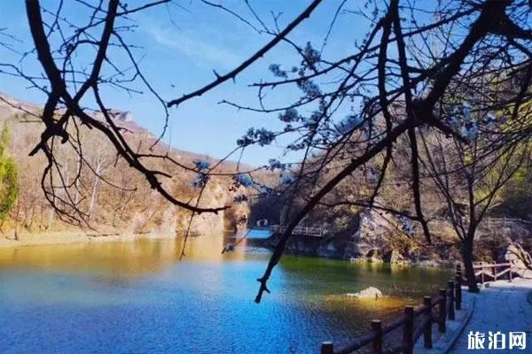浮戲山雪花洞景區怎么去 3月21日免費開(kāi)放-免費政策