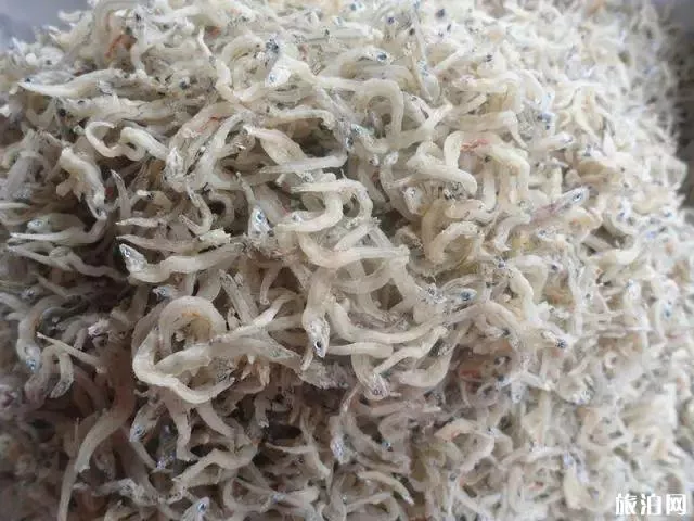 南麂島地道美食 南麂島美食有哪些 南麂島地道美食 南麂島美食有哪些
