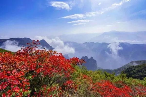 2021巫山神女景區賞紅葉一日游旅游線(xiàn)路