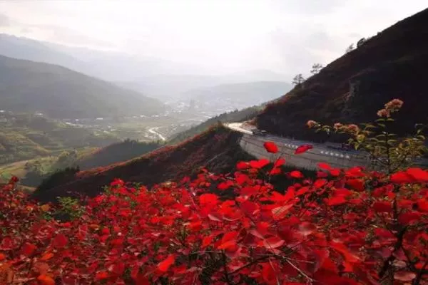 2021重慶巫山紅葉最佳觀(guān)賞路線(xiàn)