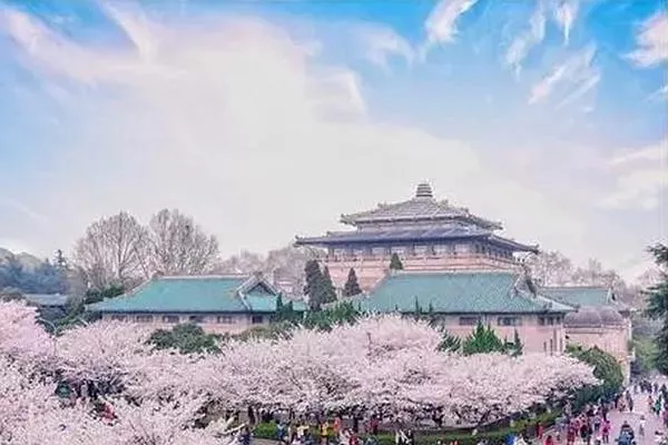 觀(guān)賞武漢大學(xué)櫻花的最佳時(shí)間是在幾月份 三月份最合適不過(guò)了