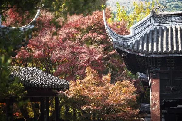 2021無(wú)錫惠山古鎮寄暢園秋季游玩指南