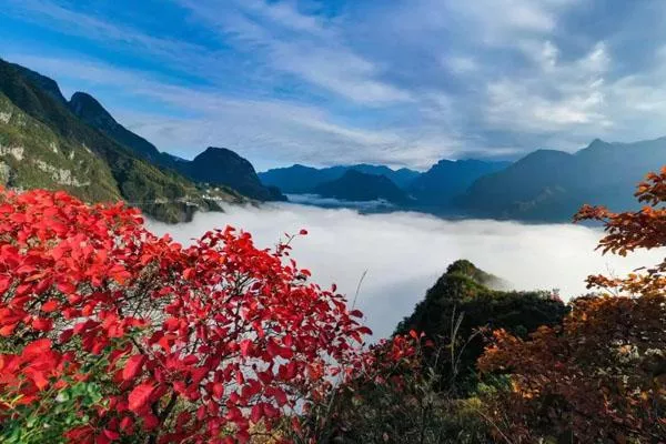 巫山紅葉最佳觀(guān)賞地點(diǎn)及路線(xiàn)推薦