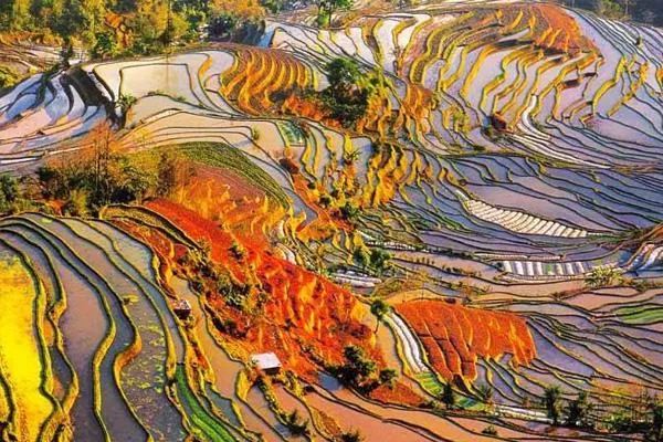 哈尼梯田最佳旅游時(shí)間 哈尼梯田最佳觀(guān)<a href='/jingdian/' target=_blank>景點(diǎn)</a>