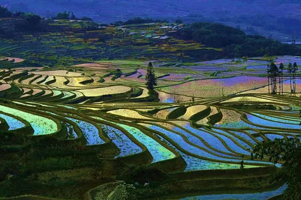 哈尼梯田最佳旅游時(shí)間 哈尼梯田最佳觀(guān)景點(diǎn)