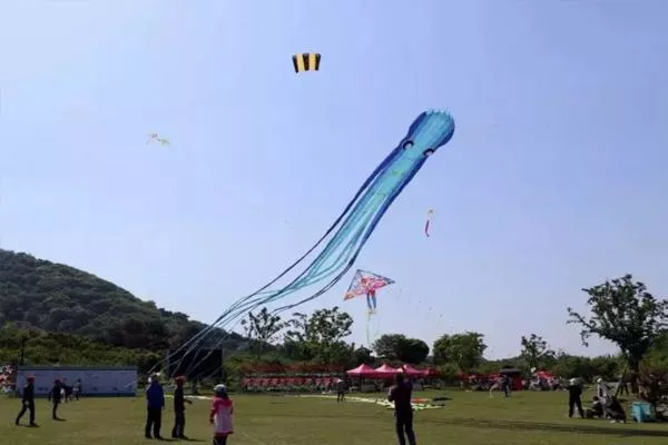 2022杭州超山風(fēng)箏節舉辦時(shí)間及門(mén)票