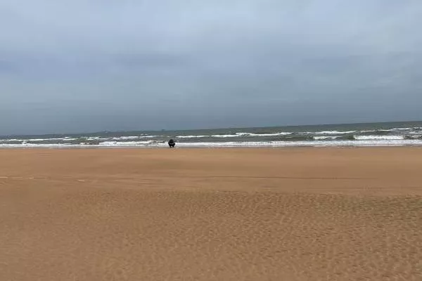 日照海濱國家森林公園開(kāi)放時(shí)間