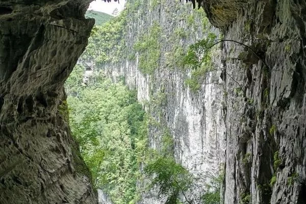 廣西大石圍天坑群景區在哪里