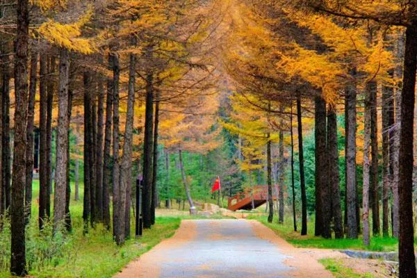 六盤(pán)山國家森林公園<a href='/lvyougonglue/' target=_blank>旅游攻略</a> 景點(diǎn)一日游攻略